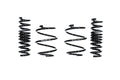 Evolve F80 M3 lowering springs