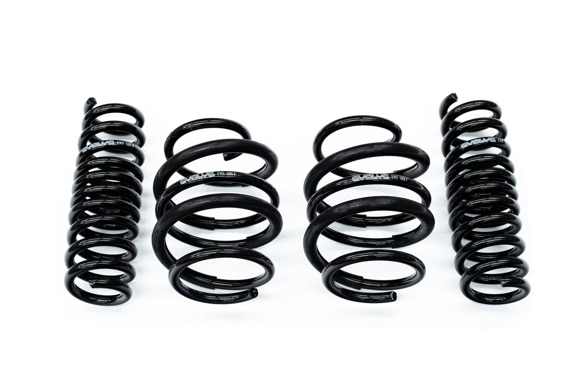 Evolve G87 M2 lowering springs